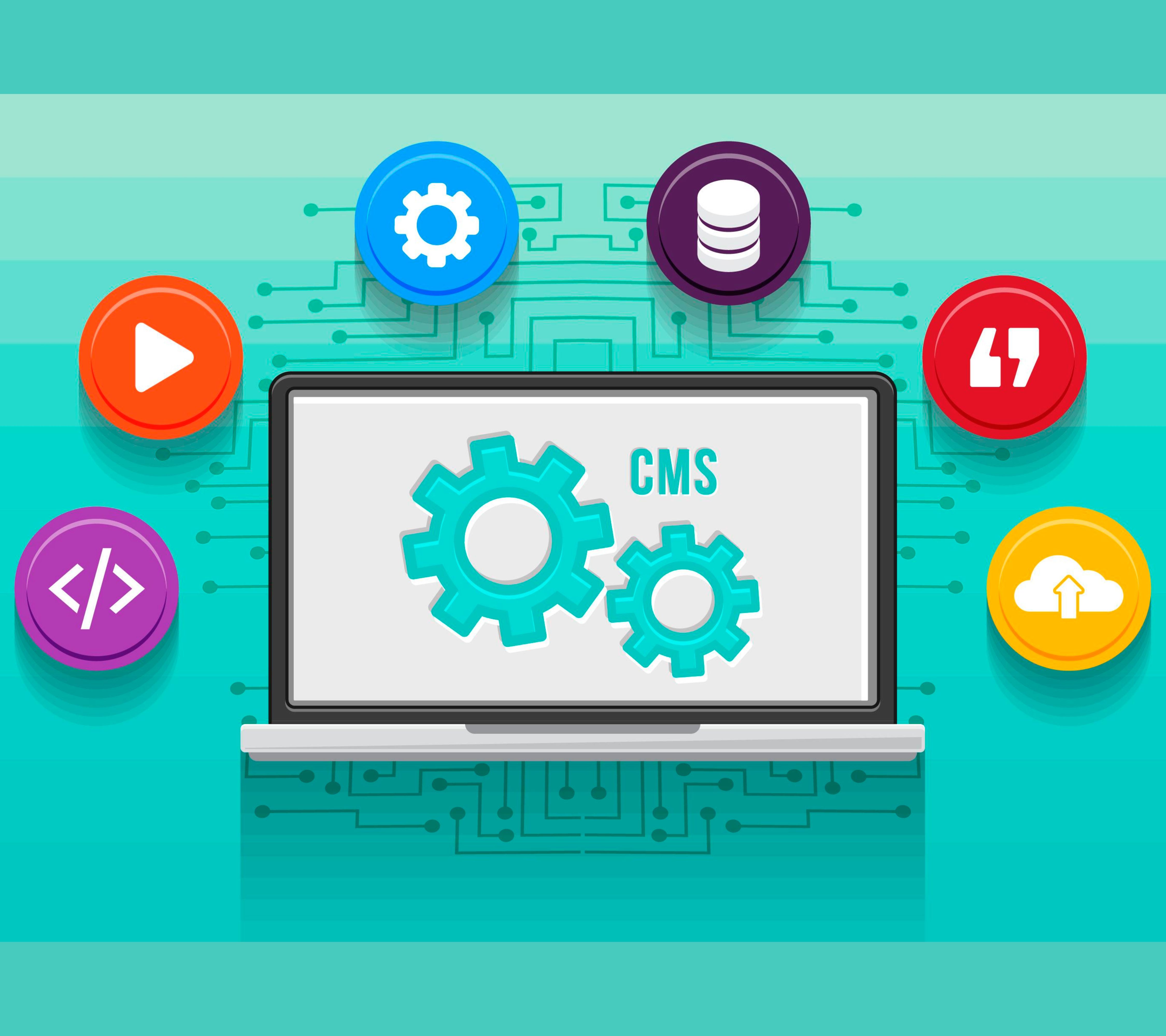Website Development Services